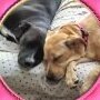 JMFS